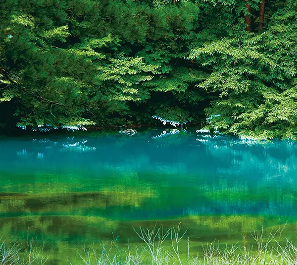 夏